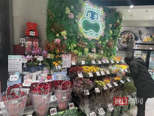 鮮花消費(fèi)日常化趨勢明顯，武漢時(shí)令春花綻放新商機(jī)